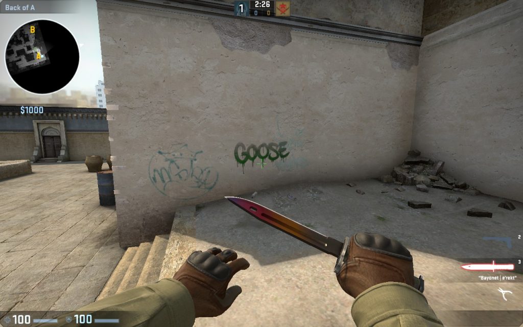 Counter Strike Global Offensive Goose