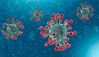 Corona Virüs (Koronavirüs) Canlı Takip Sistemi